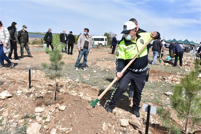 Amasya'da Polis Haftasında Fidanlar Toprakla Buluşturuldu