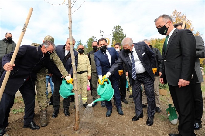 Amasya Milli Ağaç Bayramı Etkinlikleri