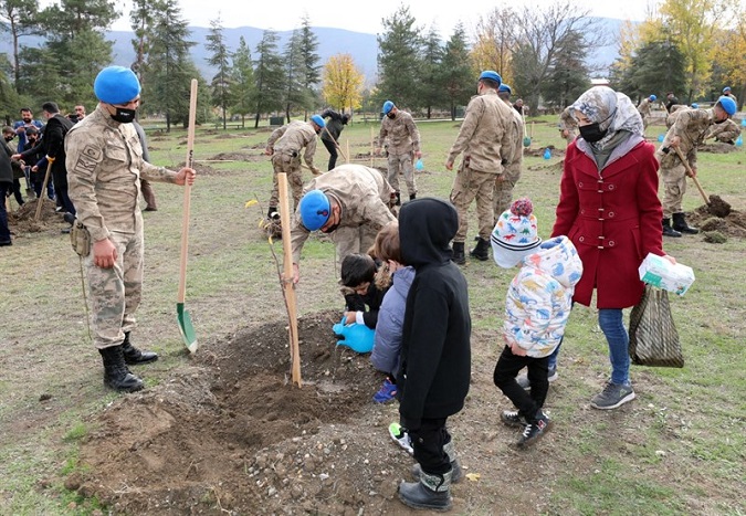 Amasya Milli Ağaç Bayramı Etkinlikleri