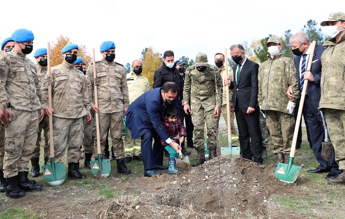 Amasya Milli Ağaç Bayramı Etkinlikleri
