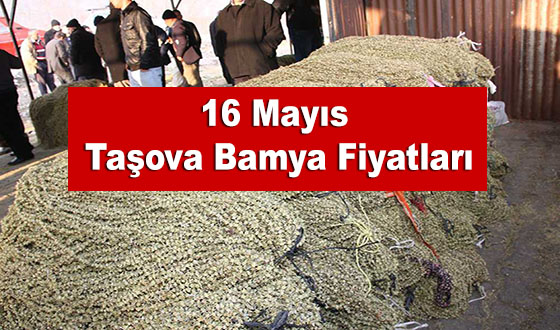 16 Mayıs Taşova Bamya Fiyatları