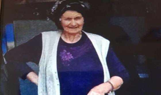 82 Yaşındaki Kadın Arı Sokması Sonucu Hayatını Kaybetti