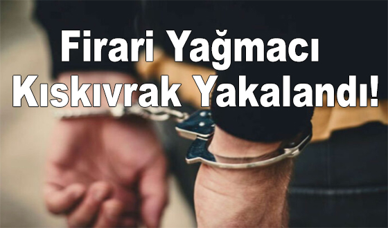 Firari Yağmacı Kıskıvrak Yakalandı!