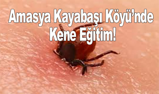 Amasya Kayabaşı Köyü’nde Kene Eğitim!