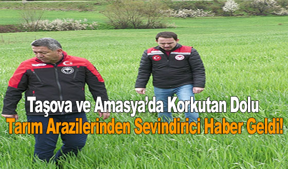 Taşova ve Amasya’da Korkutan Dolu: Tarım Arazilerinden Sevindirici Haber Geldi!