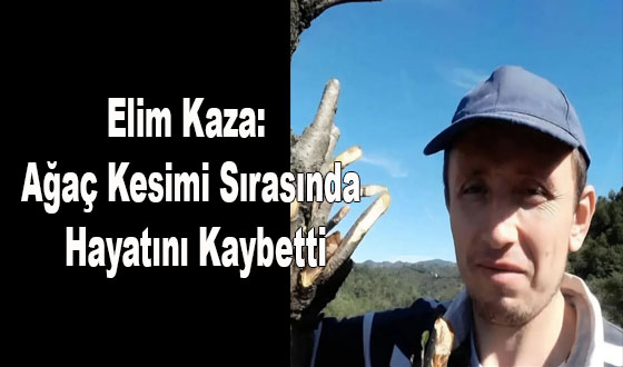 Elim Kaza: Ağaç Kesimi Sırasında Hayatını Kaybetti