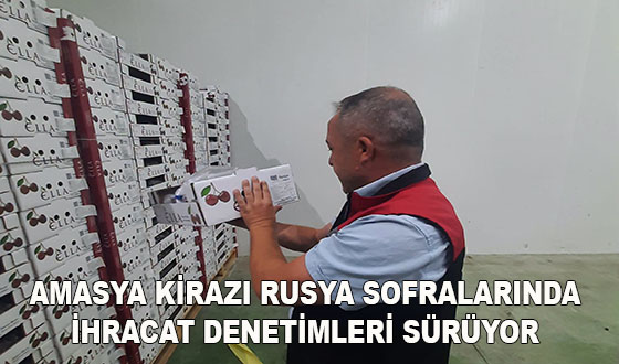 AMASYA KİRAZI RUSYA SOFRALARINDA: İHRACAT DENETİMLERİ SÜRÜYOR