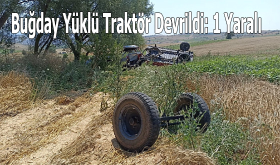  Buğday Yüklü Traktör Devrildi: 1 Yaralı
