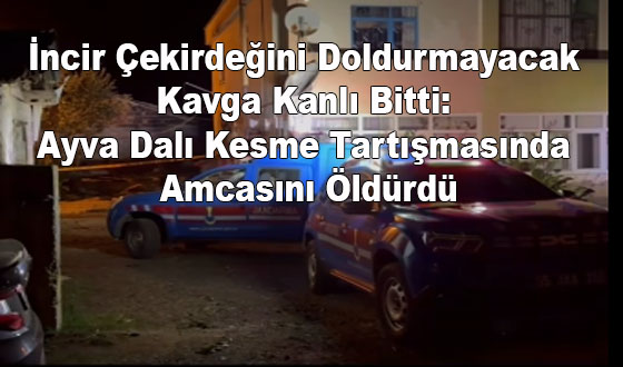 İncir Çekirdeğini Doldurmayacak Kavga Kanlı Bitti: Ayva Dalı Kesme Tartışmasında Amcasını Öldürdü