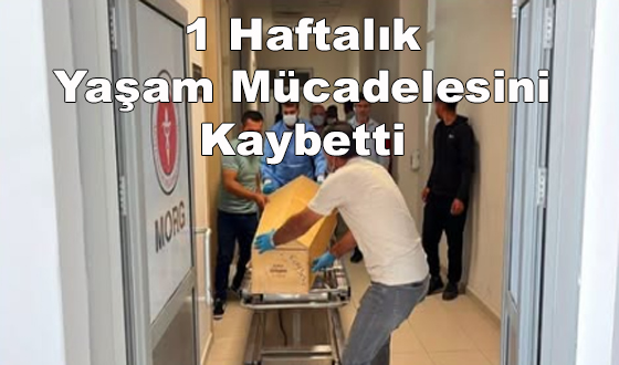 1 Haftalık Yaşam Mücadelesini Kaybetti
