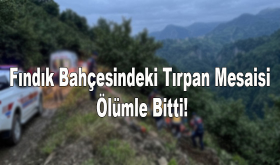 Fındık Bahçesindeki Tırpan Mesaisi Ölümle Bitti!