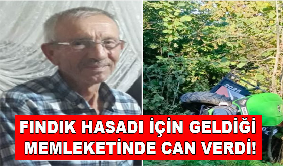 FINDIK HASADI İÇİN GELDİĞİ MEMLEKETİNDE CAN VERDİ!