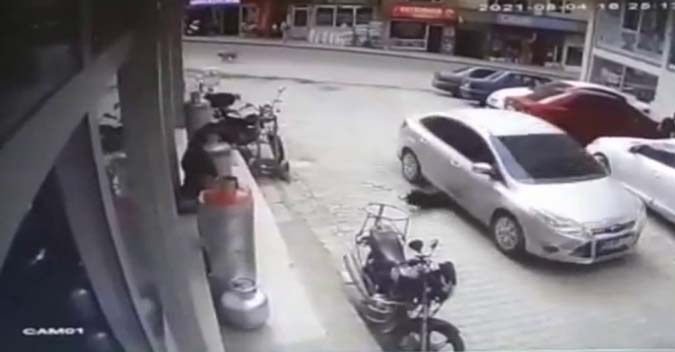 Köpeği Ezen Cani Sürücü Cezayı Yedi