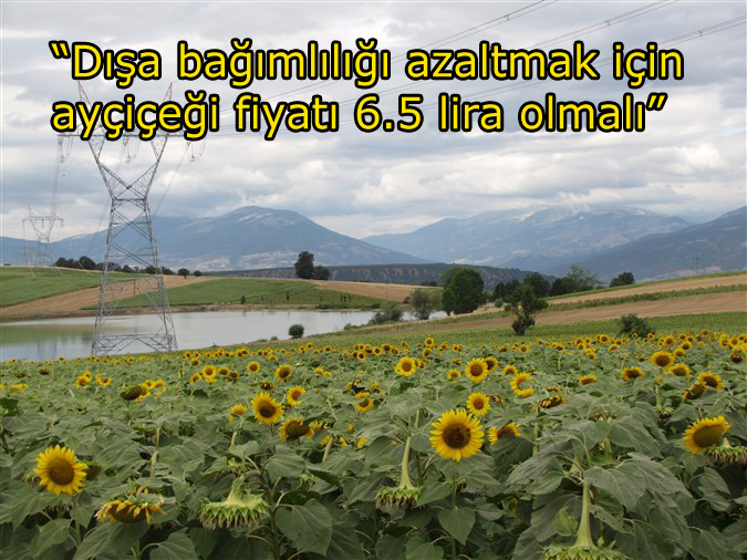 “Dışa bağımlılığı azaltmak için ayçiçeği fiyatı 6.5 lira olmalı”