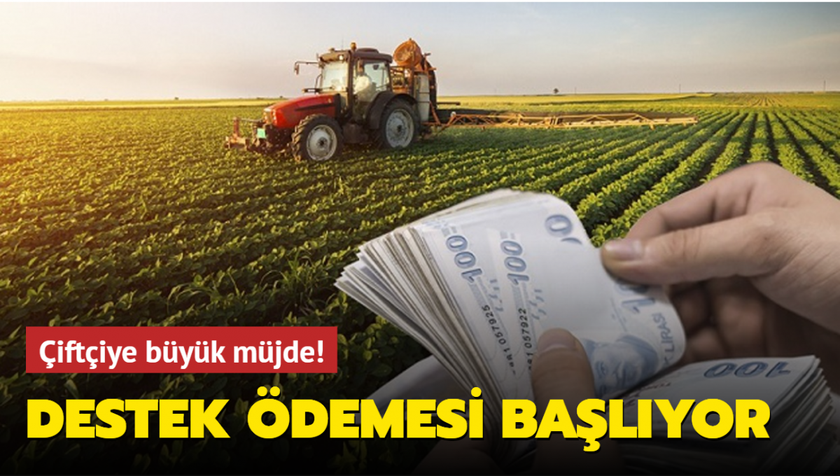 Resmi Gazetede Yayınlandı: