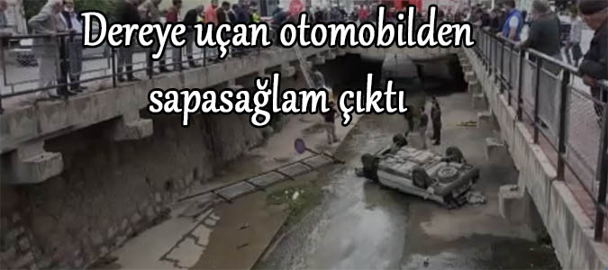 Dereye uçan otomobilden sapasağlam çıktı