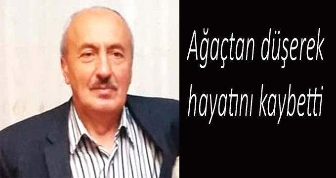Ağaçtan düşerek hayatını kaybetti