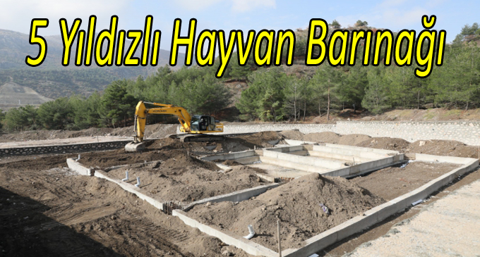 5 Yıldızlı Hayvan Barınağı