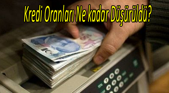 Kredi Oranları Ne kadar Düşürüldü?