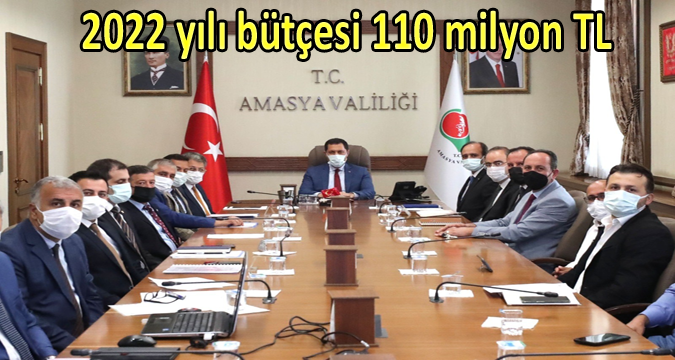 İl Özel İdaresi 2022 Yılı Bütçesi Birim Bazında Dağılımı