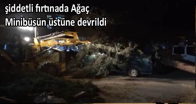 Şiddetli Fırtınada Ağaç Minibüsün Üstüne Devrildi