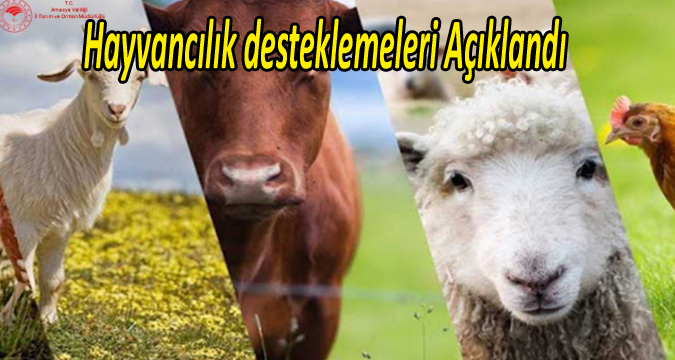 Hayvancılık desteklemeleri Açıklandı