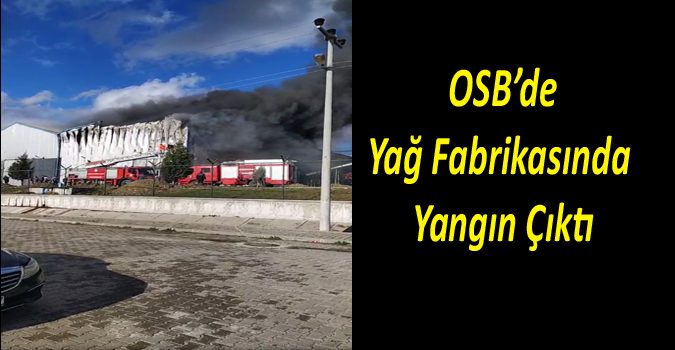 OSB Yağ Fabrikasında Yangın Çıktı
