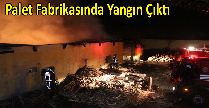 Palet Fabrikasında Yangın Çıktı