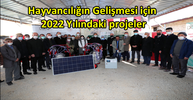 Hayvancılığın Gelişmesi için 2022 Yılındaki projeler