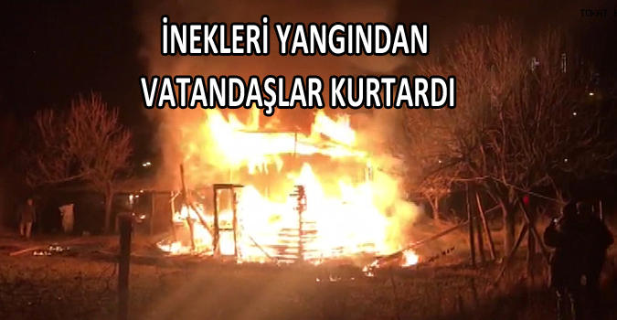 İNEKLERİ YANGINDAN VATANDAŞLAR KURTARDI