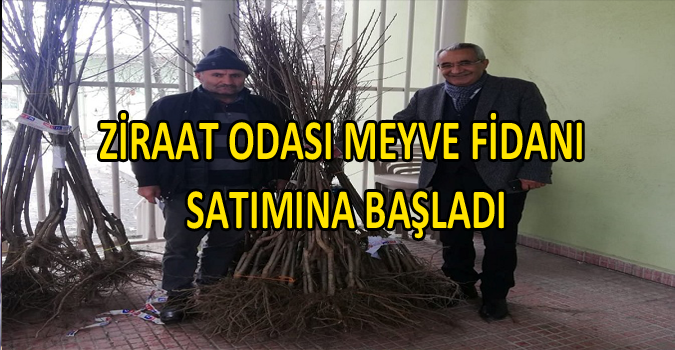 ZİRAAT ODASI MEYVE FİDANI SATIMINA BAŞLADI