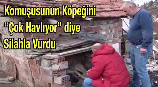 Komşusunun Köpeğini 