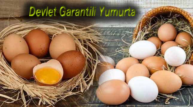Devlet Yumurta Fiyatına El Attı