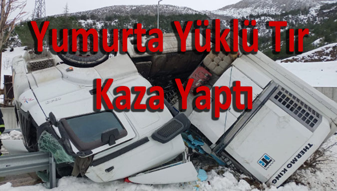 Yumurta Yüklü Tır Devrildi