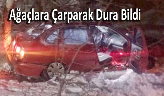 Ağaçlara Çarparak Dura Bildi