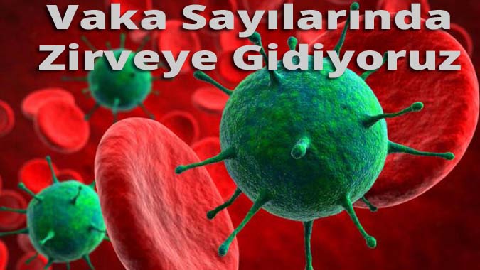 Amasya Vaka Artışında Zirveye Tırmanıyor