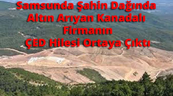 Altın Arayan Kanadalı Firmanın ÇED Hilesi 