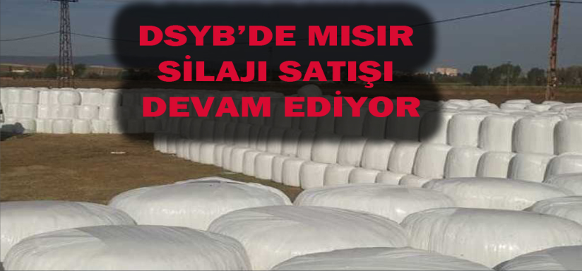 DSYB’DE MISIR SıLAJI SATIŞI DEVAM EDİYOR
