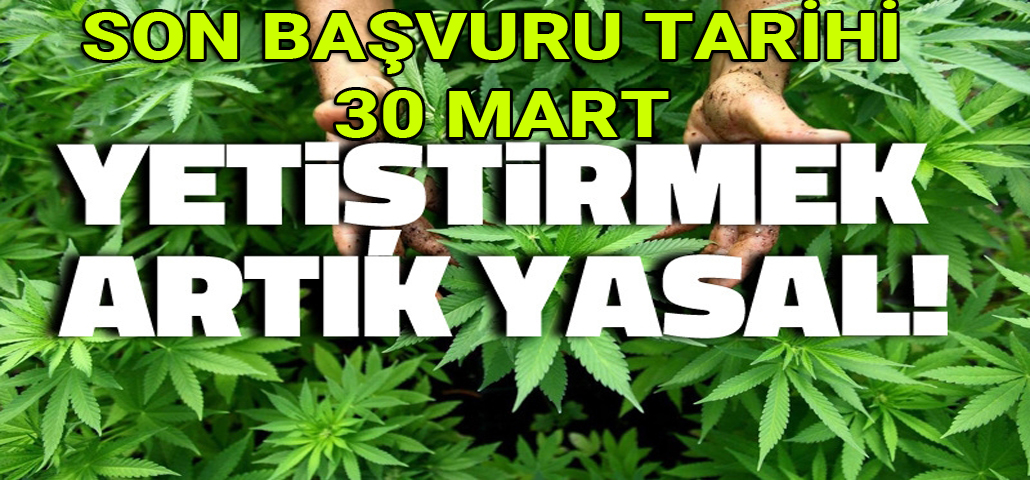 Son Başvuru Tarihi 30 Mart