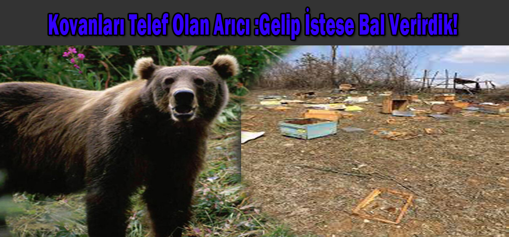 Kovanları Telef Olan Arıcı :Gelip İstese Bal Verirdik!