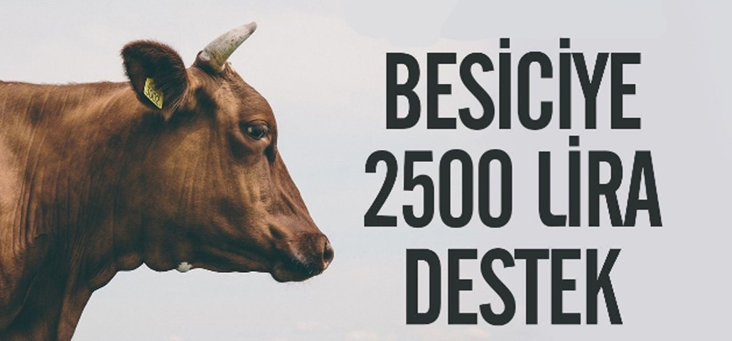 Hayvan Başına 2 Bin 500 Lira Destek !