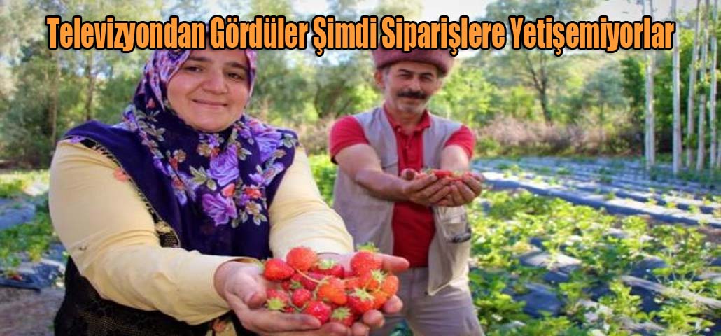 Televizyondan Gördüler Şimdi Siparişlere Yetişemiyorlar