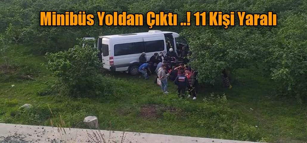 Minibüs Yoldan Çıktı ..! 11 Kişi Yaralı