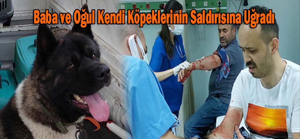 Baba ve Oğul Kendi Köpeklerinin Saldırısına Uğradı