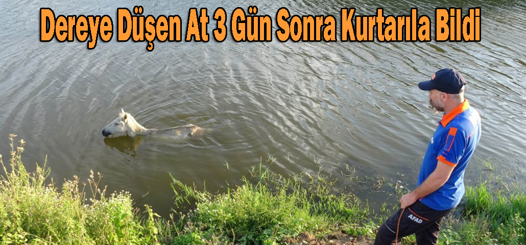 Dereye Düşen At 3 Gün Sonra Kurtarıla Bildi