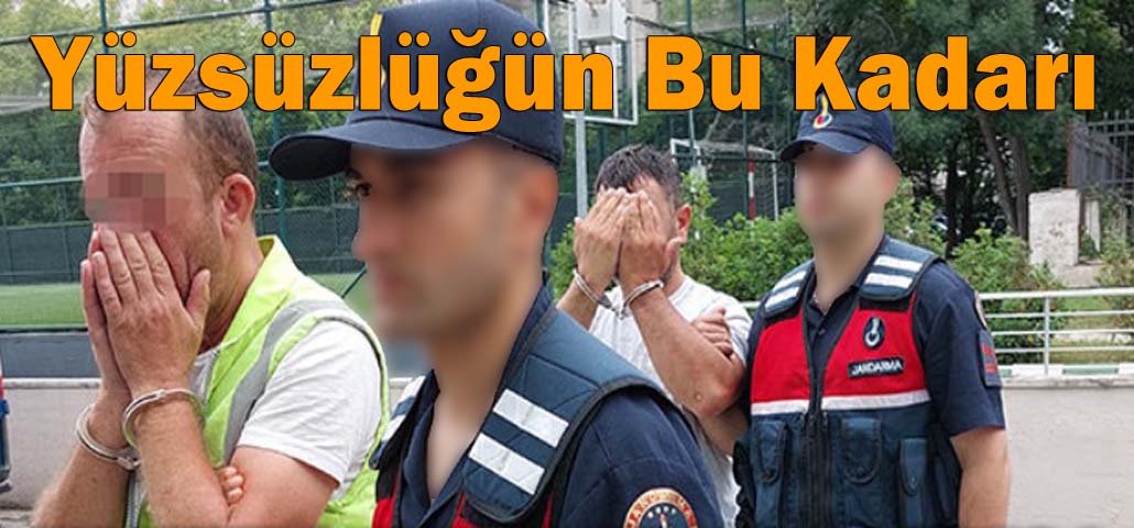 Yüzsüzlüğün Bu Kadarı