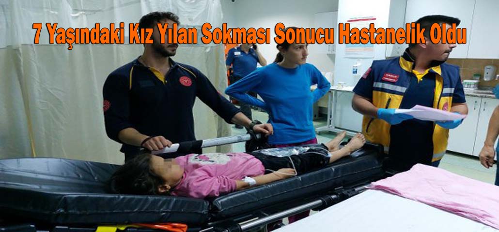7 Yaşındaki Kız Yılan Sokması Sonucu Hastanelik Oldu