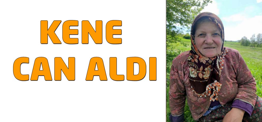 KENE CAN ALDI