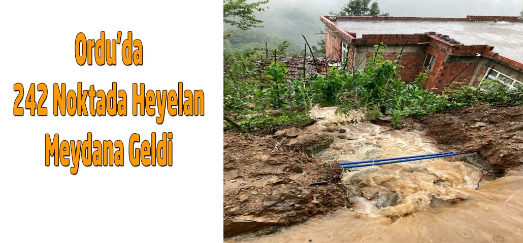 Ordu’da 242 Noktada Heyelan Meydana Geldi