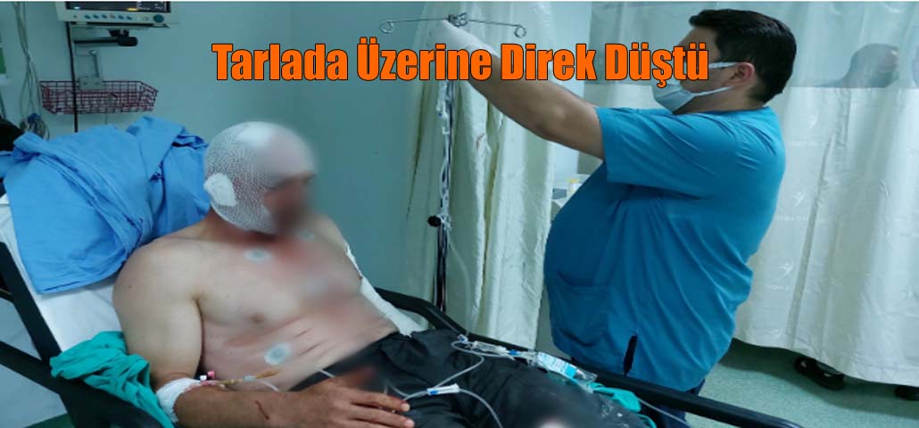 Tarlada Üzerine Direk Düştü
